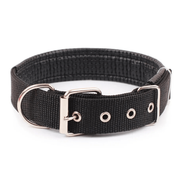 Collier chien | Confort Nylonâą - Compagnon du chien