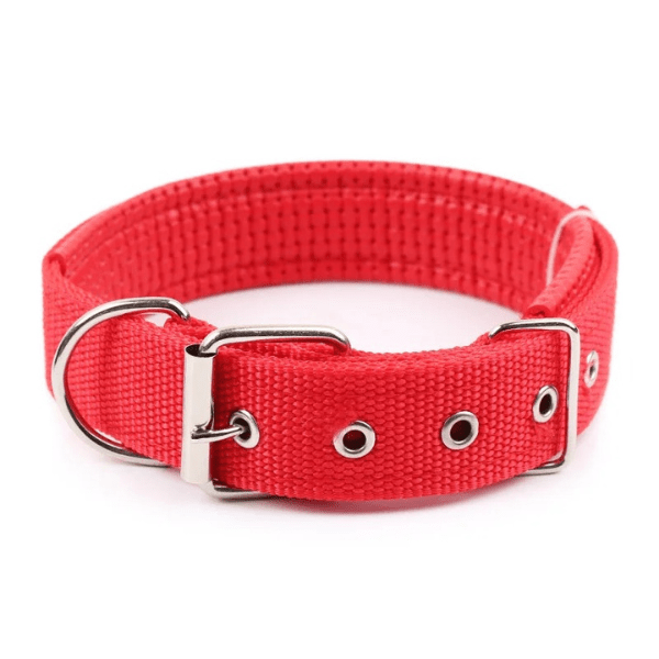 Collier chien | Confort Nylonâą - Compagnon du chien