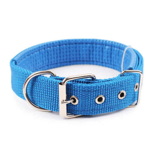 Collier chien | Confort Nylonâą - Compagnon du chien