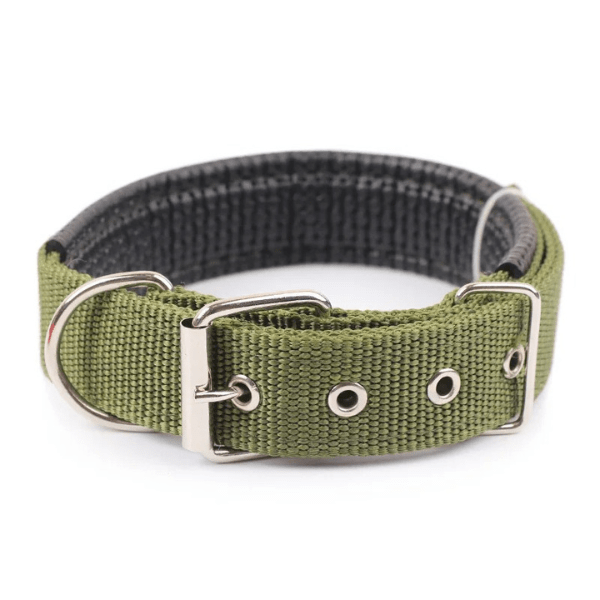 Collier chien | Confort Nylonâą - Compagnon du chien