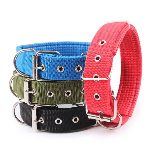 Collier chien | Confort Nylonâą - Compagnon du chien