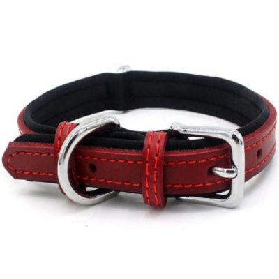 collier chien en cuir rouge coutures rouges boucle solide, WoufConfort.
