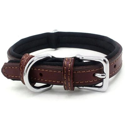 collier chien en cuir marron coutures brunes boucle brillante, WoufConfort.