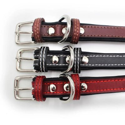 collier chien en cuir trois couleurs metal brillant vue dessus, WoufConfort.