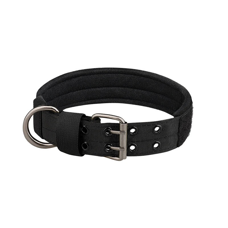 collier chien⎥Tactic&Confort™ - Compagnon du chien