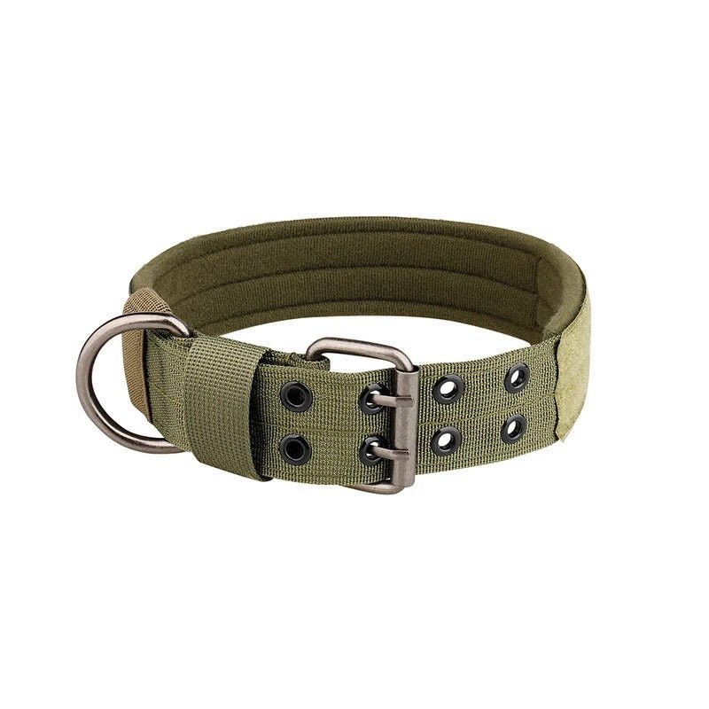 collier chien⎥Tactic&Confort™ - Compagnon du chien