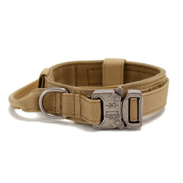 collier chienâ„WoofForceâą - Compagnon du chien