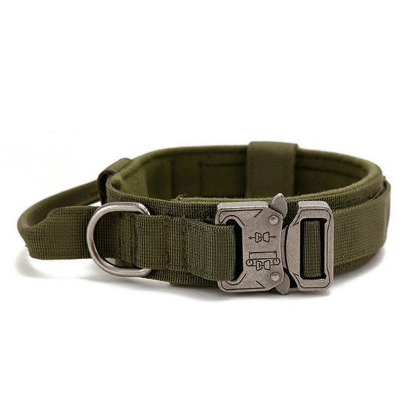 collier chienâ„WoofForceâą - Compagnon du chien