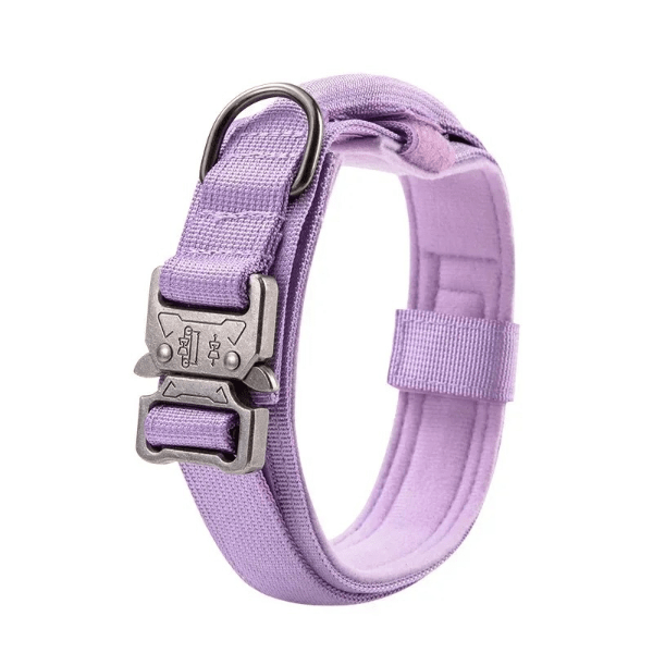 collierchien|WoofForce-Chic™-purple-Compagnon-du-chien
