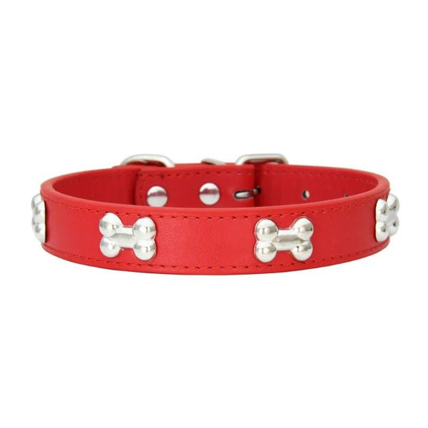 Collier cuir chien rouge avec os métal, robuste et ajustable.