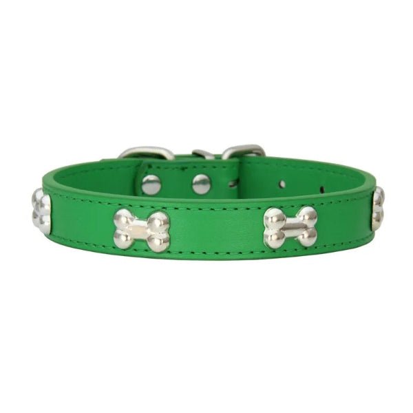 Collier cuir chien vert fun et stylé
