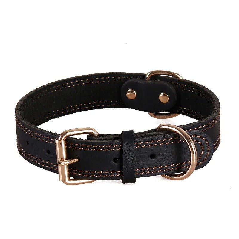 collier cuir chienâ„ClassCuirâą - Compagnon du chien