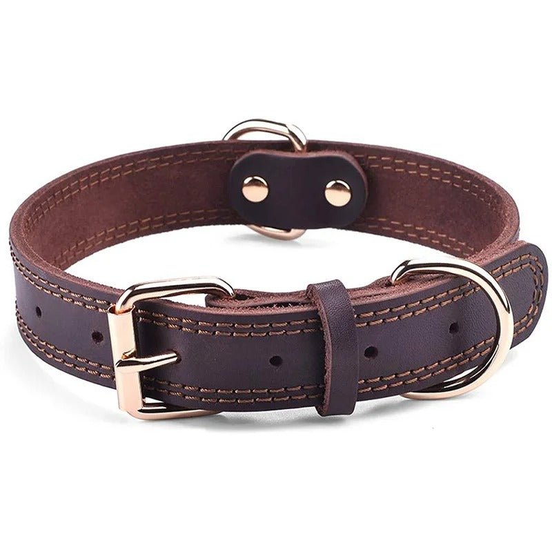 collier cuir chienâ„ClassCuirâą - Compagnon du chien