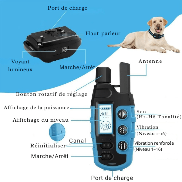 collier de dressage chien fonctions et commandes intuitives DressageTouch