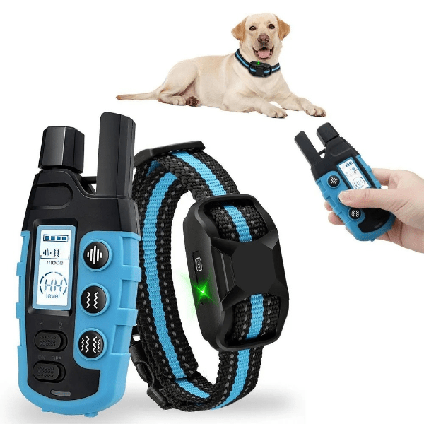 collier de dressage chien controle facile avec collier bleu DressageTouch
