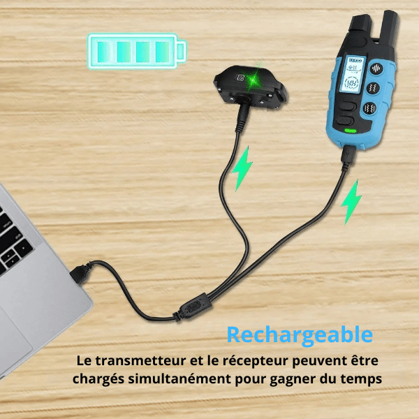 collier de dressage chien recharge rapide simultanée pratique DressageTouch