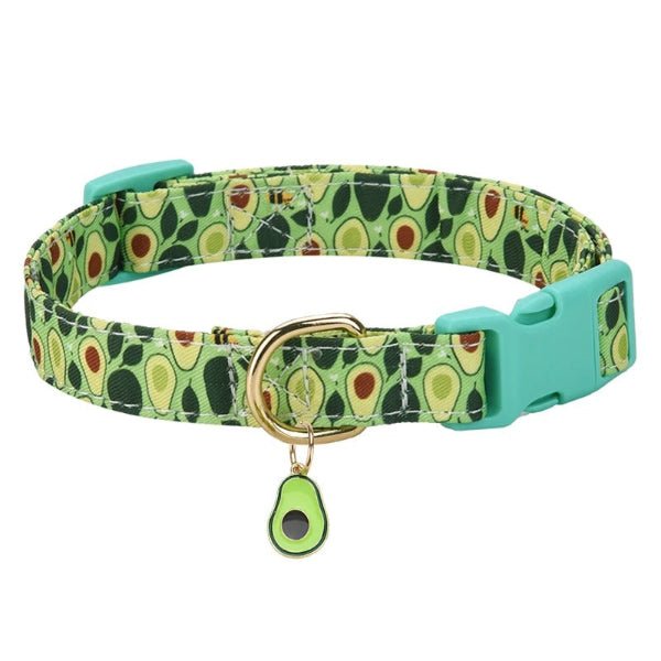 collier pour chien|FruitiChic PopCollarâą - Compagnon du chien