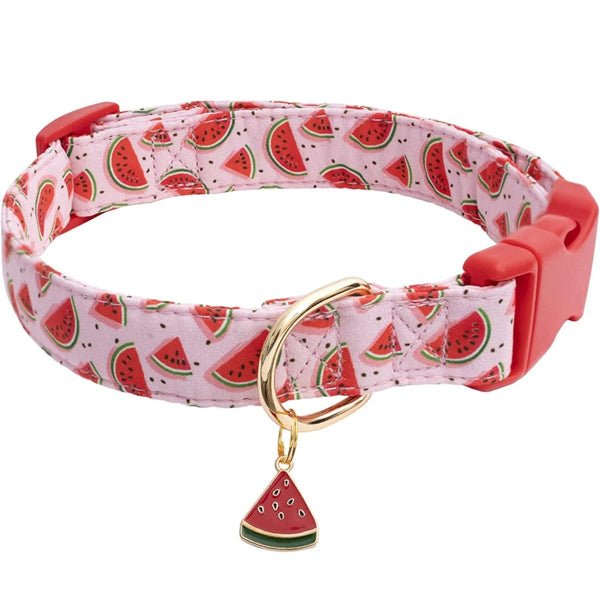 collier pour chien|FruitiChic PopCollarâą - Compagnon du chien