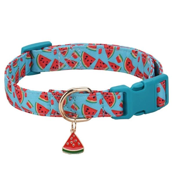 collier pour chien|FruitiChic PopCollarâą - Compagnon du chien