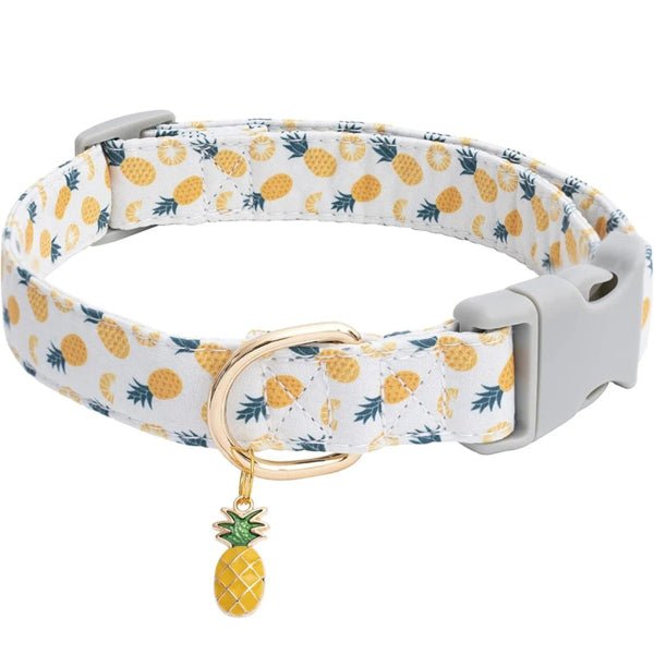 collier pour chien|FruitiChic PopCollarâą - Compagnon du chien