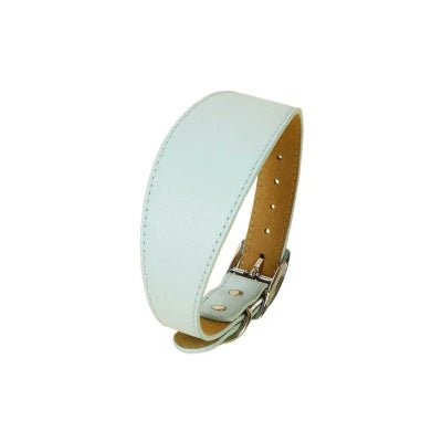 Colliers cuir pour chiens, bleu ciel unique, douceur tendance, Look Cuir