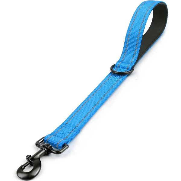 laisses pour chiens nylon bleu ciel, longue laisse ergonomique, Complicité Sécurisée