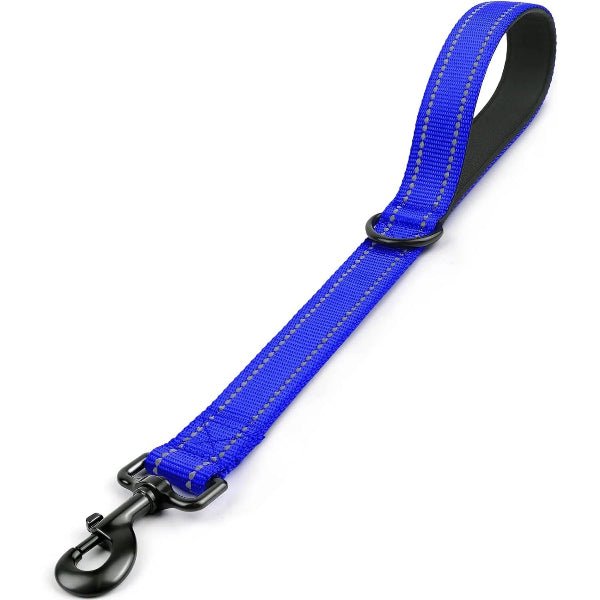 laisses pour chiens modèle bleu profond, pratique pour balades dynamiques, Complicité Sécurisée