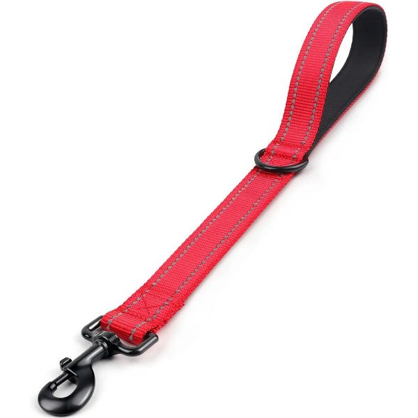 laisses pour chiens nylon rouge, confort optimal et crochet sécurisé, Complicité Sécurisée
