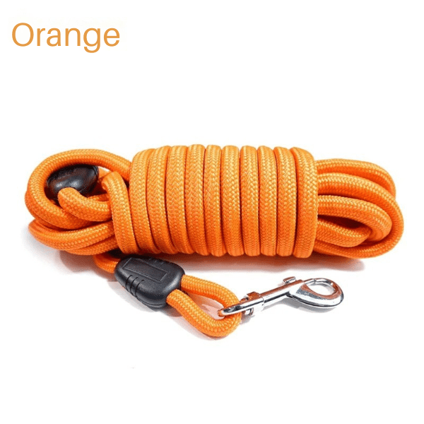 longe chien orange, trĂšs visible pour promenades et jeux, FreeWalk.