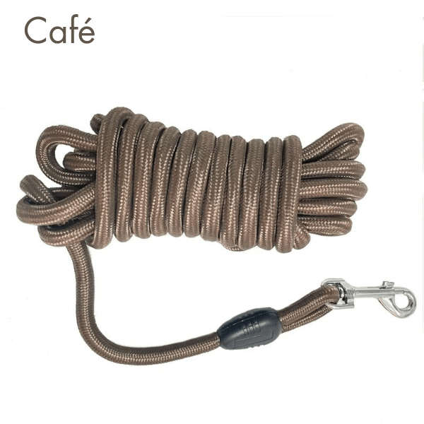 longe chien café, idéale grande promenade et explorations, FreeWalk.