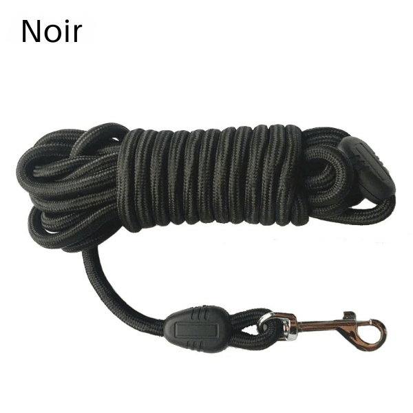 longe chien noire, matériau robuste pour sécurité en extérieur, FreeWalk.