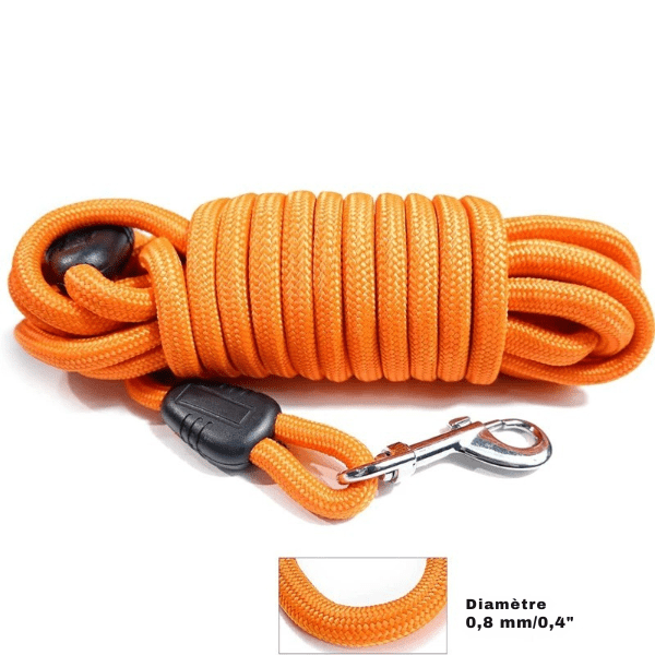 longe chien orange diamÚtre épais garantit grande solidité fiable FreeWalk.