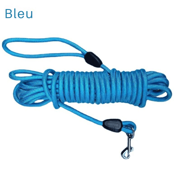 longe chien bleue, poignée confortable pour balades sécurisées, FreeWalk.