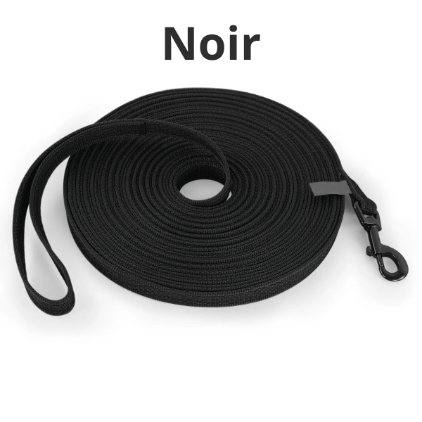 longe chiens noire, boucle robuste et texture lisse. PawFreedom