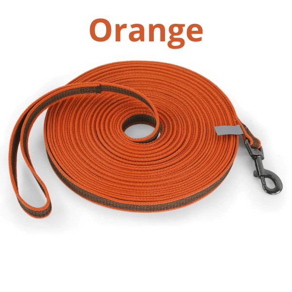 longe chiens orange, haute visibilité et finitions soignées. PawFreedom