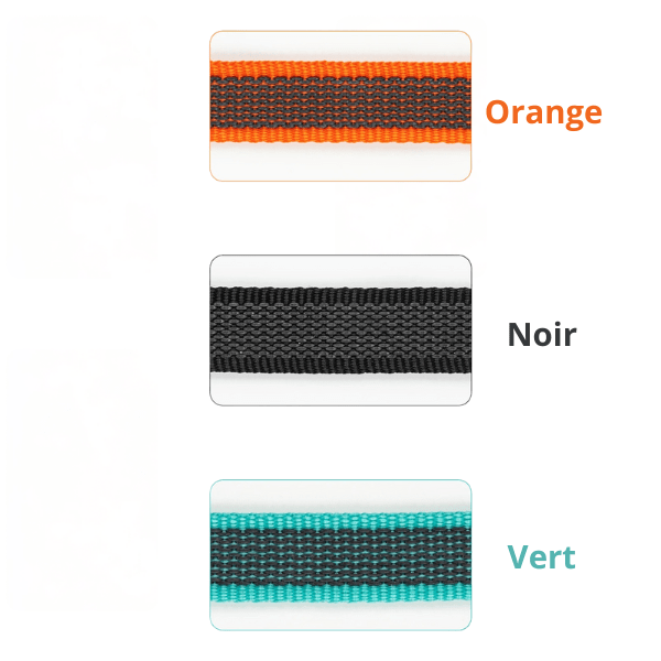 longe chiens détails couleur orange noir vert sur fond blanc. PawFreedom