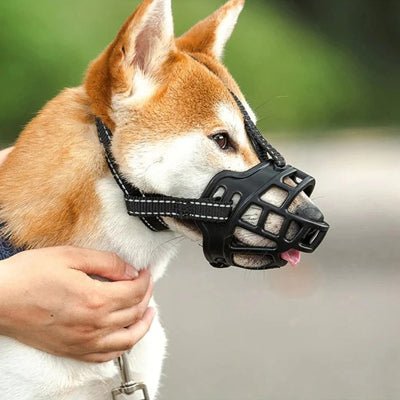 muselière chien noire ajustée sur shiba, promenade sereine, Muzzle Up