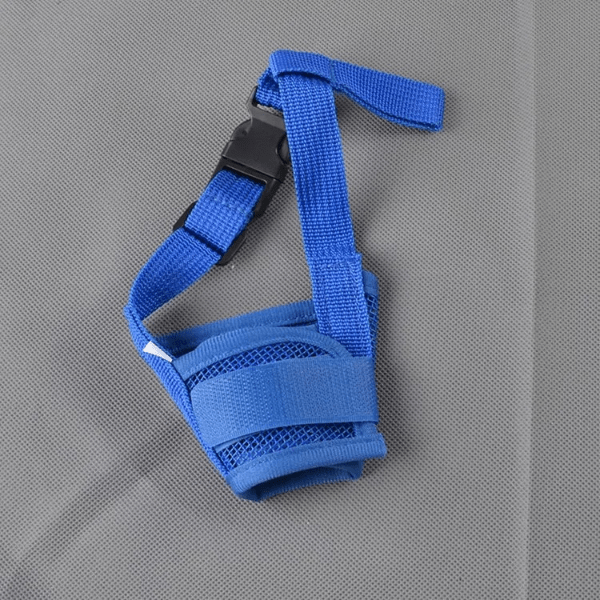 muselière pour chien bleue douce, nylon solide, coutures renforcées, confort sécurité.