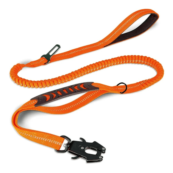 chien laisse orange élastique, poignée ergonomique et attache voiture, Complicité Canine