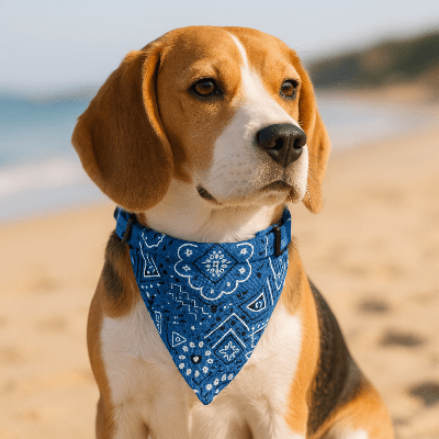 collier a chien| Bandana Chic PupStyle - Compagnon du chien