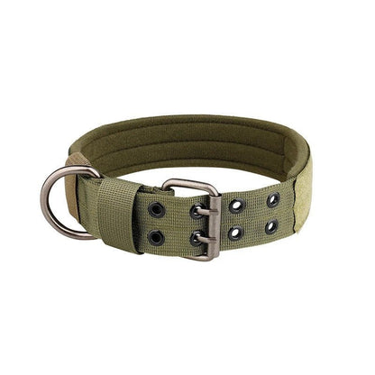 collier chien⎥Tactic&Confort™ - Compagnon du chien