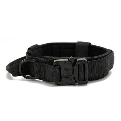 collier chien⎥WoofForce™ - Compagnon du chien
