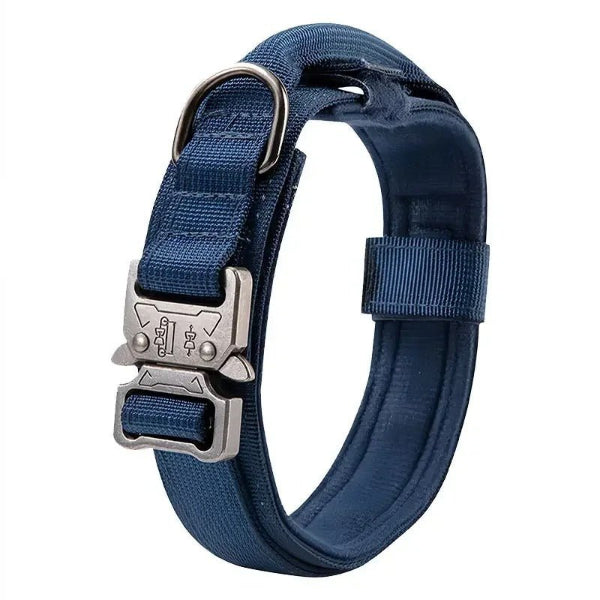 collierchien|WoofForce-Chic™-bleu-Compagnon-du-chien