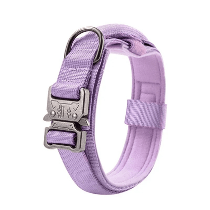 collierchien|WoofForce-Chic™-purple-Compagnon-du-chien