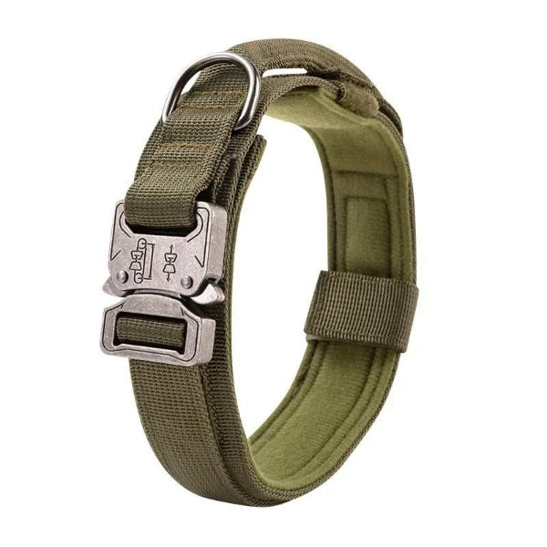 collierchien|WoofForce-Chic™-vert-Compagnon-du-chien
