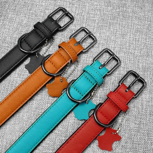 Collier cuir chien confort cuir premium 4 saisons 4 choix couleurs