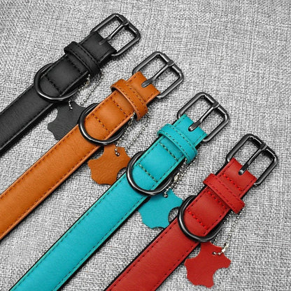 Collier cuir chien confort cuir premium 4 saisons 4 choix couleurs