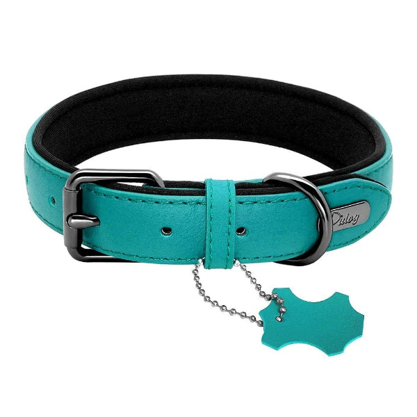 Collier cuir chien confort cuir premium 4 saisons