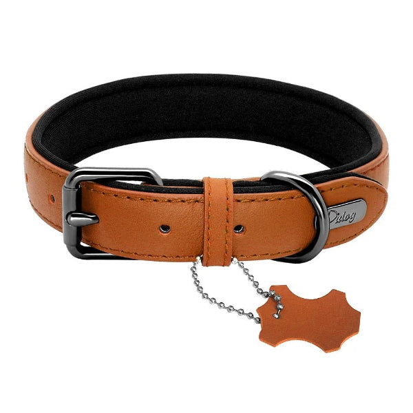 Collier cuir chien marron confort cuir premium 4 saisons