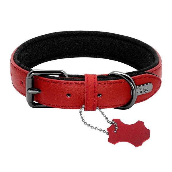 Collier cuir chien rouge confort cuir premium 4 saisons